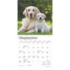 image Golden Retrievers 2025 Mini Wall Calendar Third Alternate Image