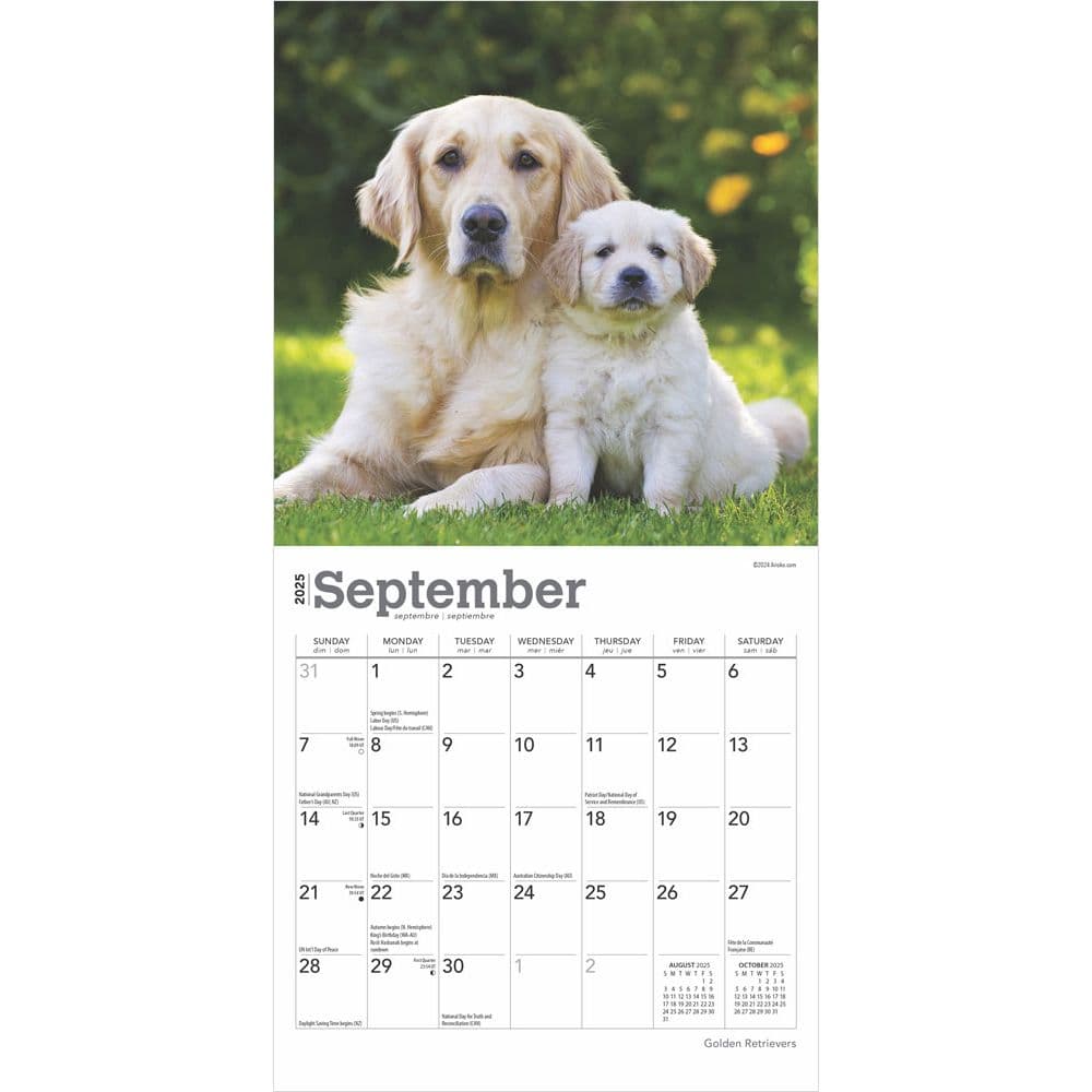 Golden Retrievers 2025 Mini Wall Calendar Third Alternate Image