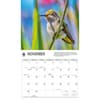 image Hummingbirds WWF 2026 Wall Calendar Fourth Alternate Image