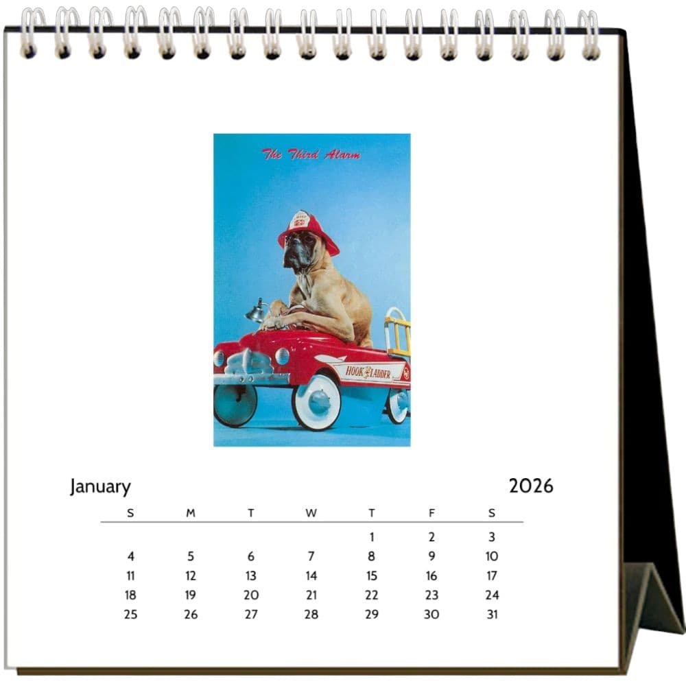 Dog Crazy 2026 Easel Desk Calendar Second alternate Image