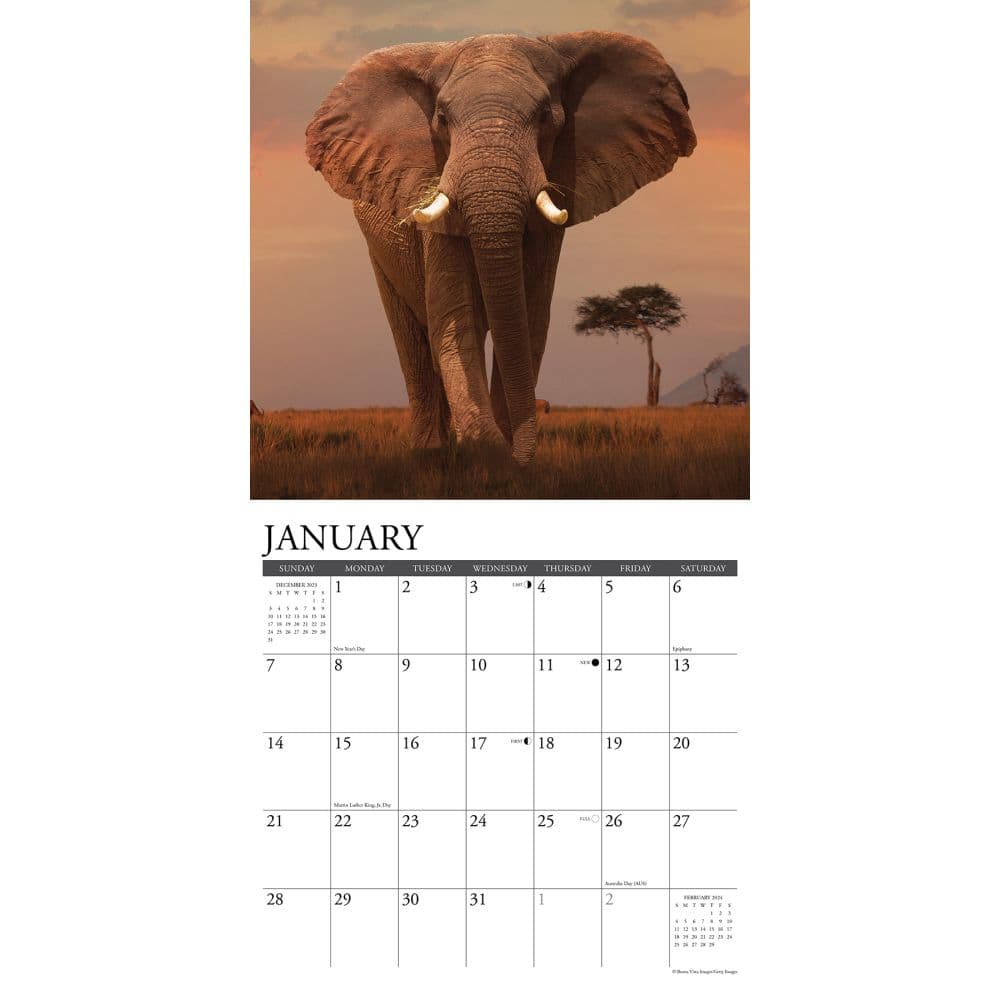 Wildlife 2024 Wall Calendar