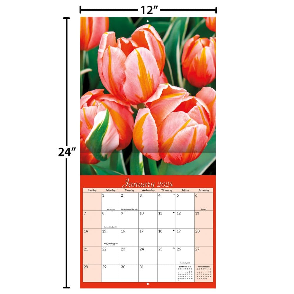 Flowers 2024 Wall Calendar Fourth Alternate 
Image width=&quot;1000&quot; height=&quot;1000&quot;