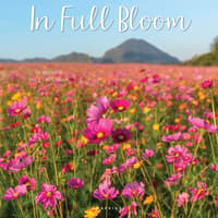image In Full Bloom 2027 Wall Calendar Main Product Image