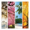 image Seasons Photo 2025 Mini Wall Calendar