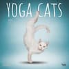 image Yoga Cats 2025 Wall Calendar Main Product Image width=&quot;1000&quot; height=&quot;1000&quot;