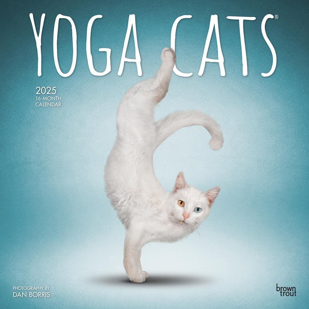 Yoga Cats 2025 Wall Calendar Main Product Image width=&quot;1000&quot; height=&quot;1000&quot;