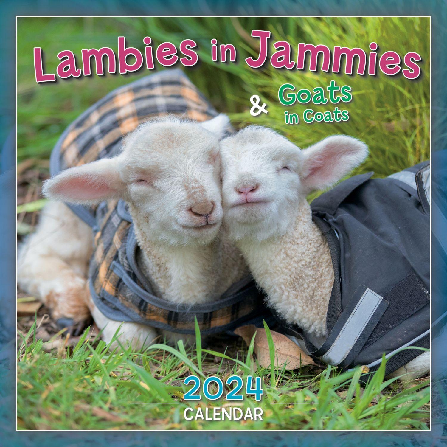 Lambies in Jammies 2025 Mini Wall Calendar