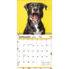 image Doggy Want A Treat 2024 Wall Calendar Second Alternate  Image width=&quot;1000&quot; height=&quot;1000&quot;