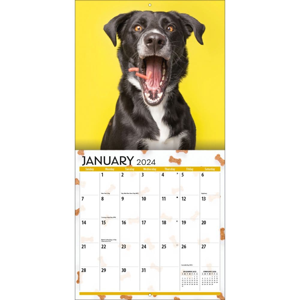 Doggy Want A Treat 2024 Wall Calendar Second Alternate  Image width=&quot;1000&quot; height=&quot;1000&quot;