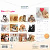 image Kittens and Puppies Special Value 2026 Wall Calendar First Alternate Image