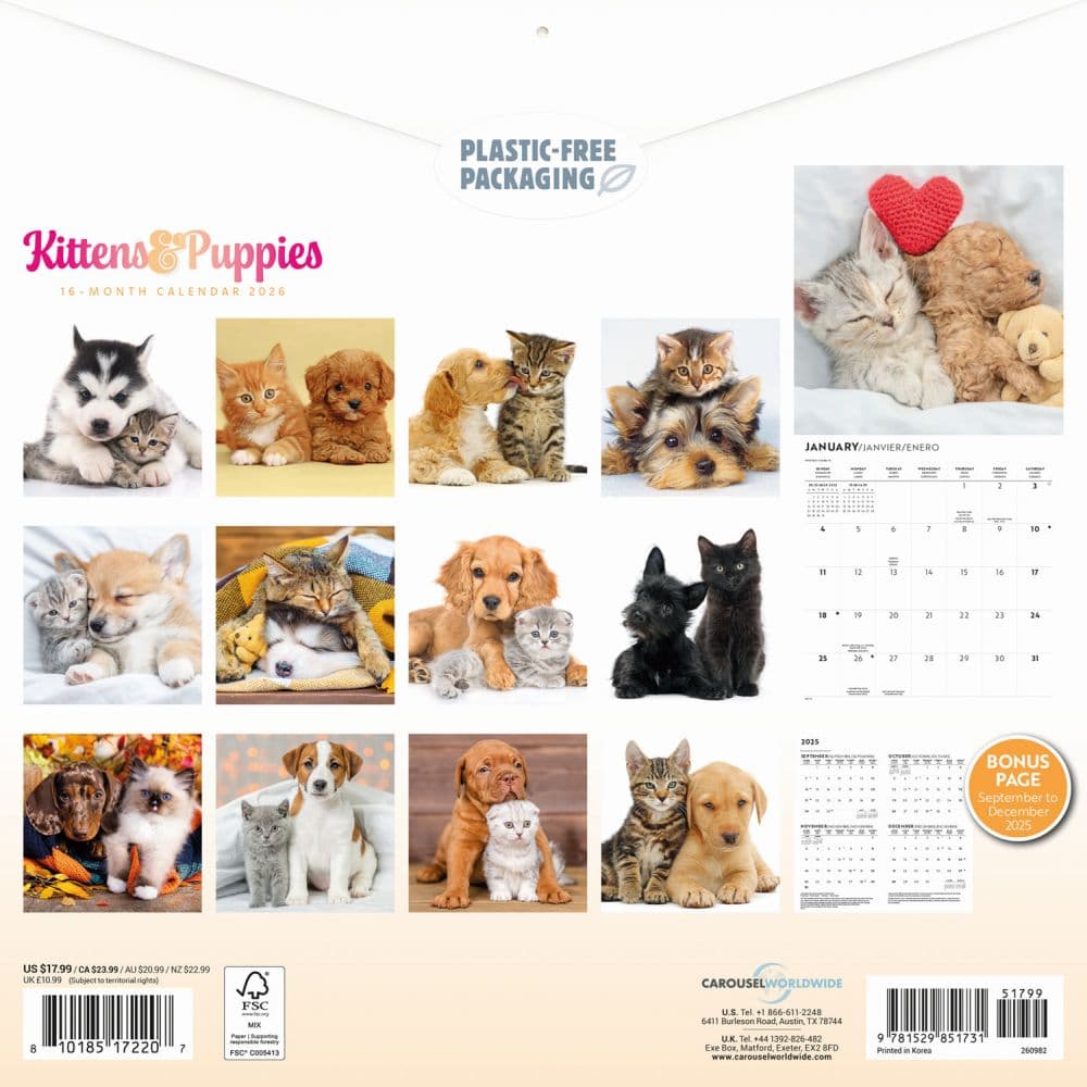 Kittens and Puppies Special Value 2026 Wall Calendar First Alternate Image