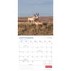 image Wildlife 2025 Wall Calendar interior image