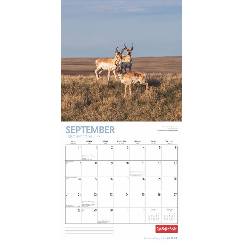 Wildlife 2025 Wall Calendar interior image