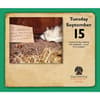 image Dog Shaming 2026 Desk Calendar Fourth Alternate Image