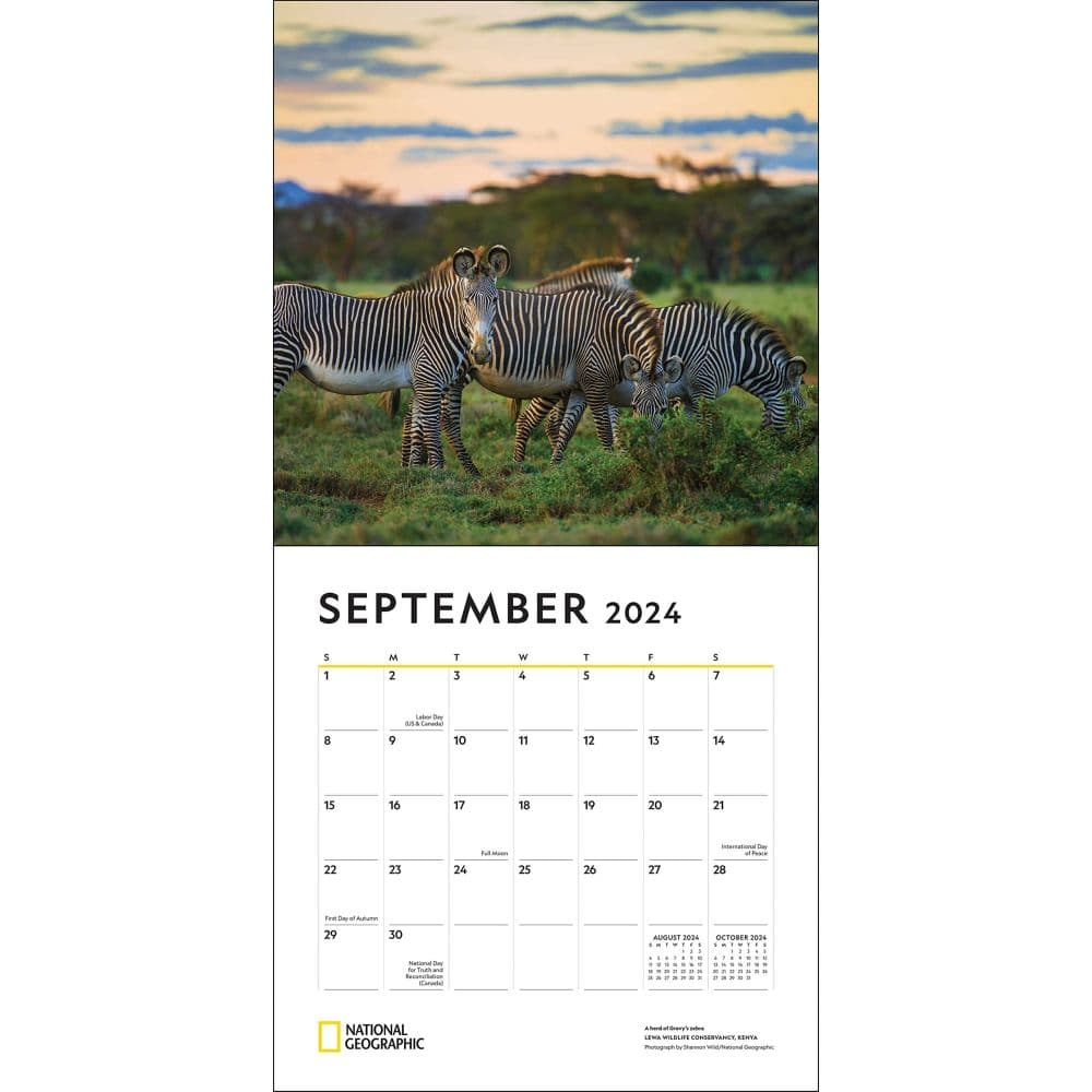 NatGeo African Safari 2024 Wall Calendar Alternate 2