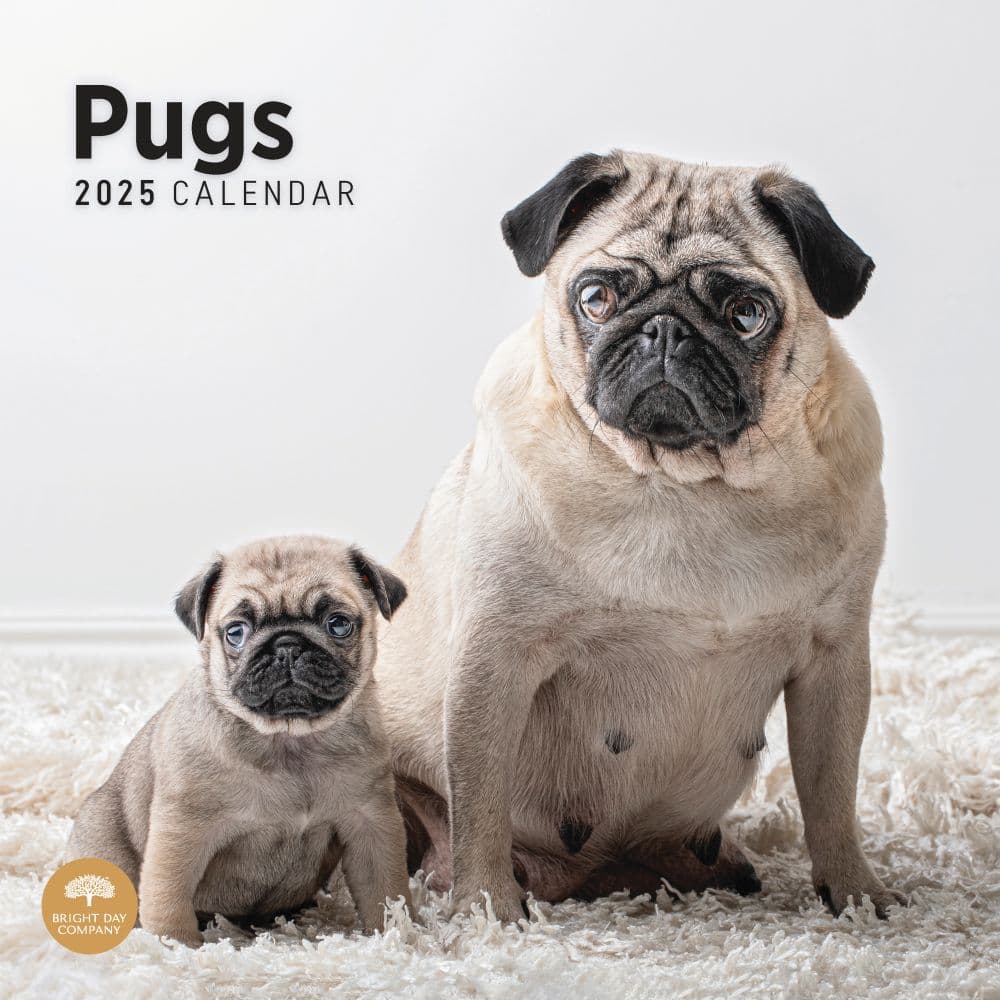 Pugs 2025 Wall Calendar