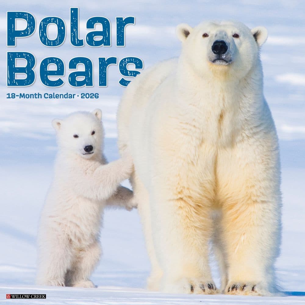 Polar Bears 2026 Wall Calendar Main Product Image