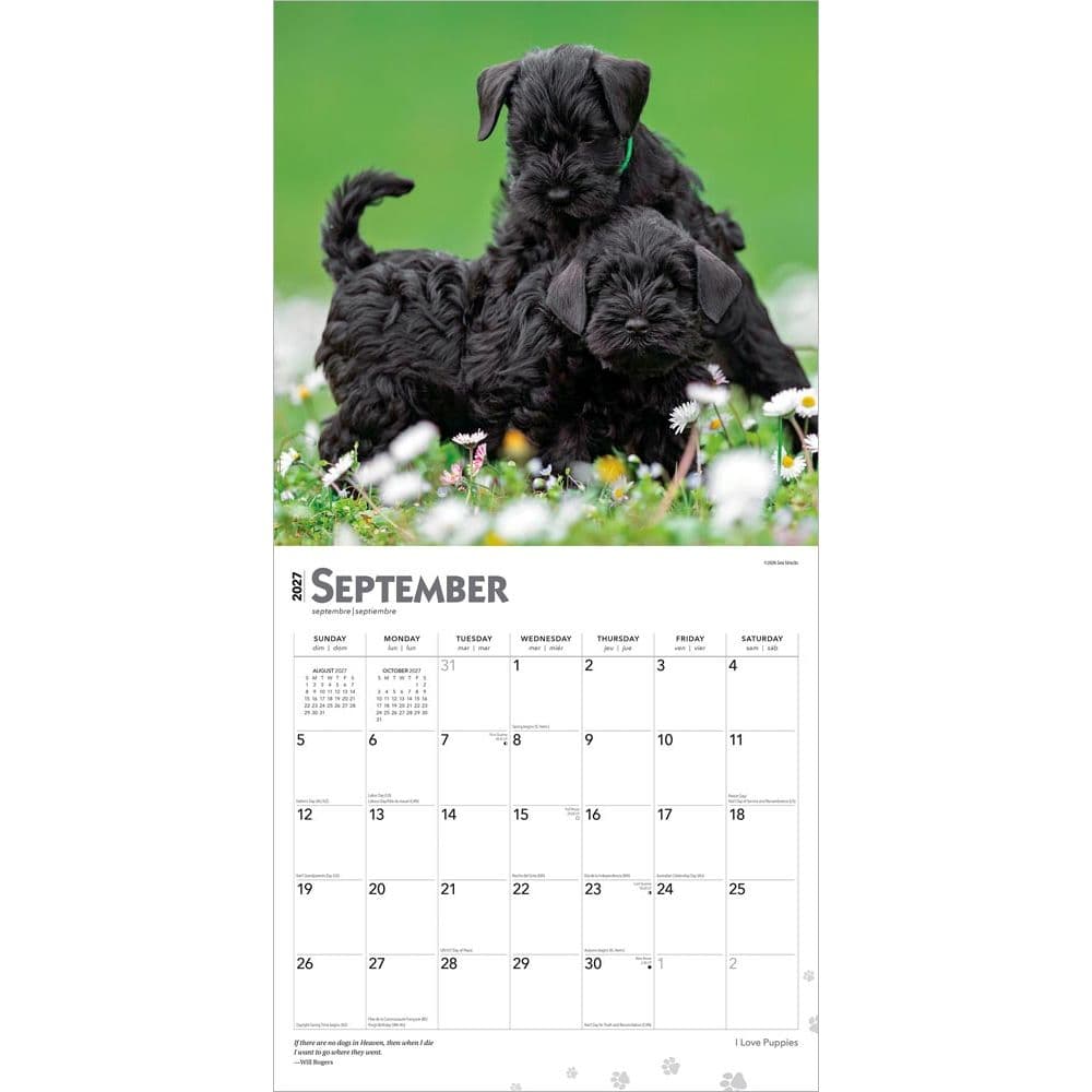 I Love Puppies 2027 Wall Calendar Third Alternate Image