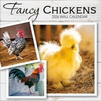 image Fancy Chickens Photo 2026 Wall Calendar