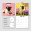 image Pugs 2027 Wall Calendar Third  Alternate Image