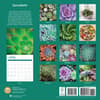 image Succulents 2025 Wall Calendar First Alternate Image