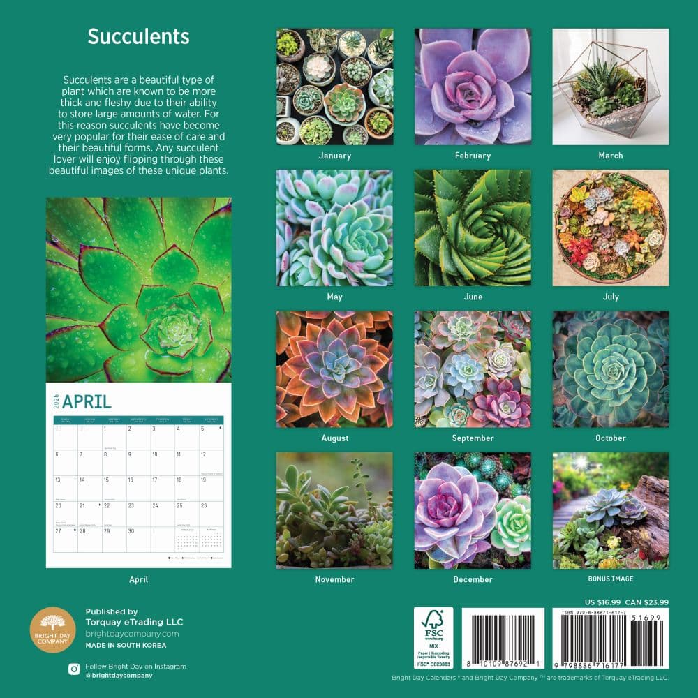 Succulents 2025 Wall Calendar First Alternate Image