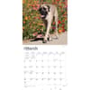 image Mastiffs 2024 Wall Calendar Second Alternate Image width=&quot;1000&quot; height=&quot;1000&quot;