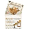 image Rosewood Ranch 2026 Wall Calendar Alt3