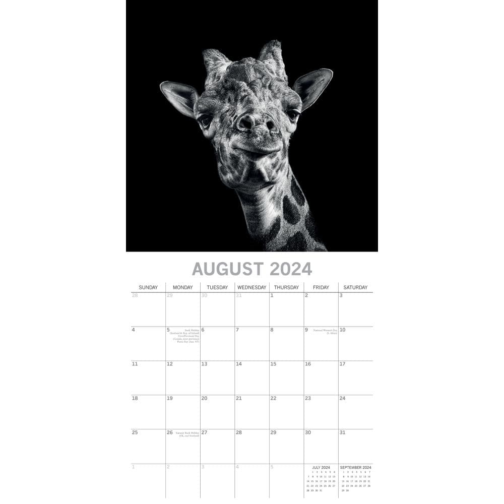 Wild Portraits 2024 Wall Calendar August