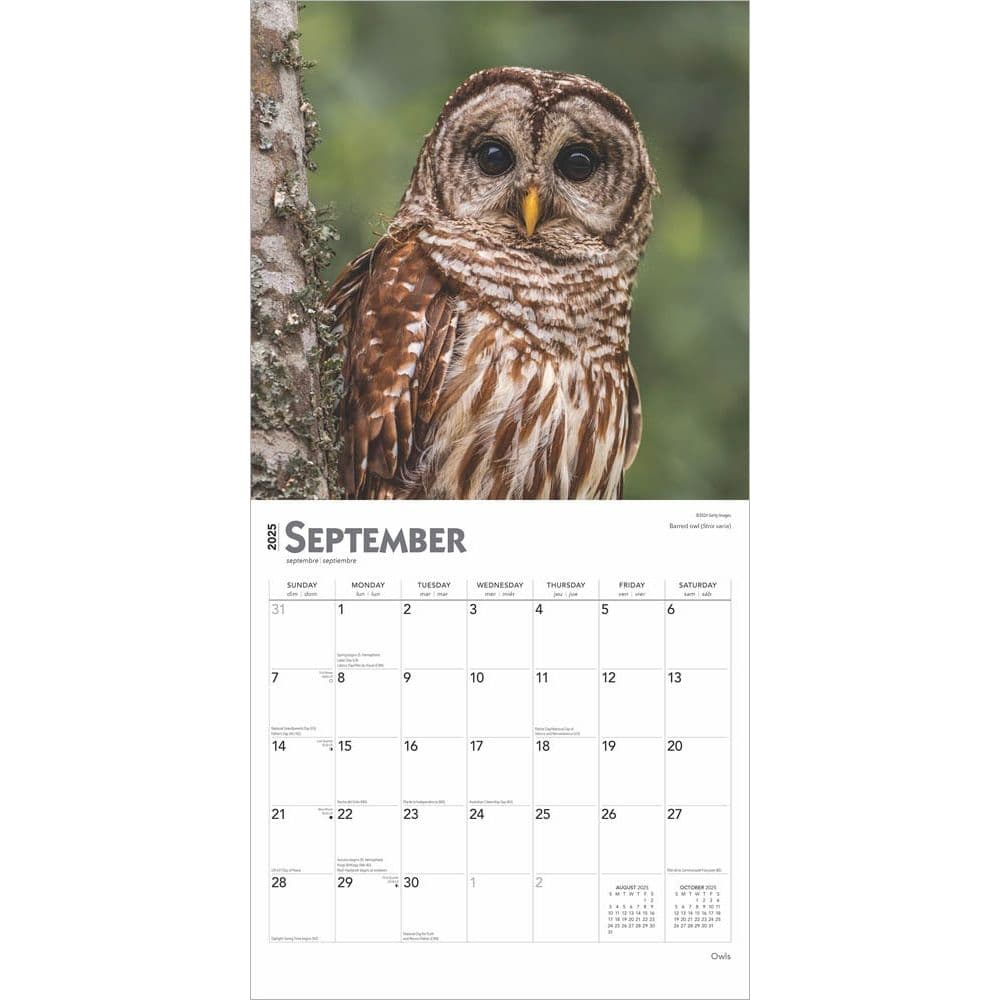 Owls 2025 Wall Calendar Third Alternate Image