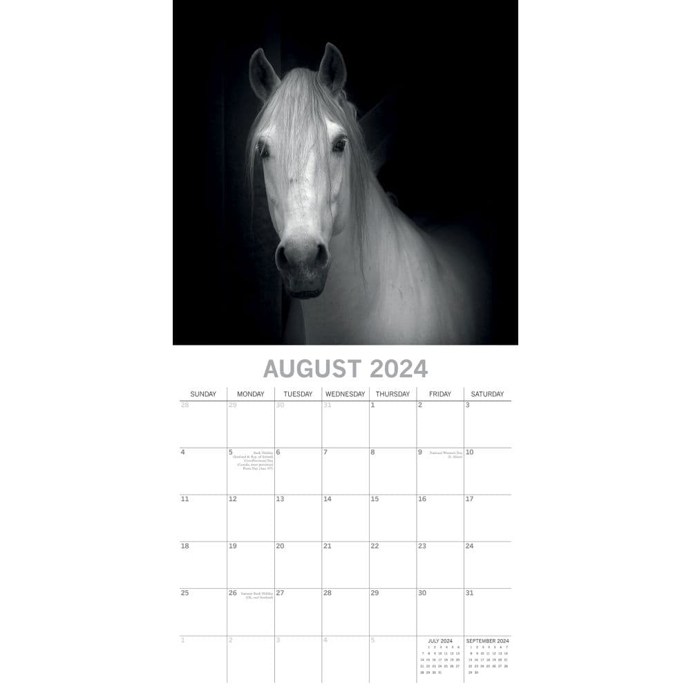 Horse Portraits 2024 Wall Calendar Calendars Com   Ec4ead3a E759 40b2 Afcd 8b6dc36453a1