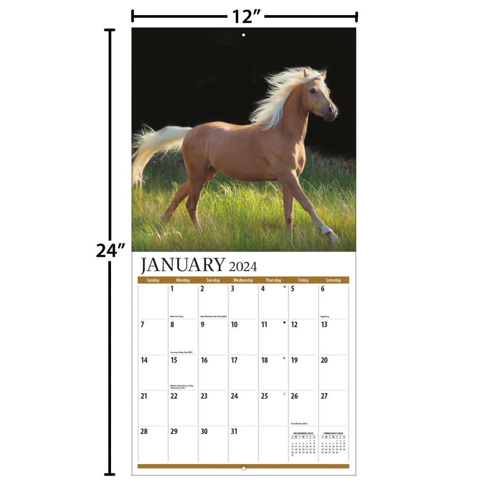 Horses Photo 2024 Wall Calendar Alternate Image 4