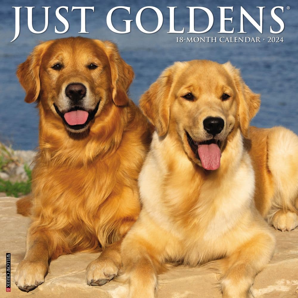 Just Goldens 2024 Wall Calendar