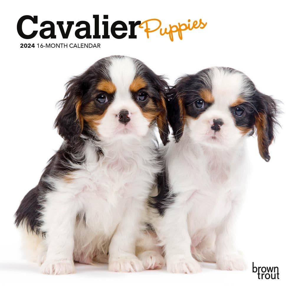 Cavalier King Charles Puppies 2024 Mini Wall Calendar Main Image