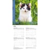 image Kittens 2026 Wall Calendar Second Alternate Image