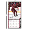 image NHL Arizona Coyotes 2025 Wall Calendar
