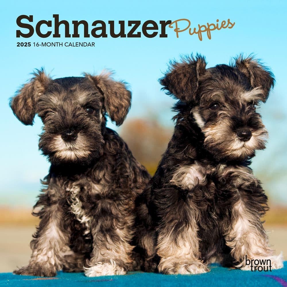 Schnauzer Puppies 2025 Mini Wall Calendar Main Product Image width=&quot;1000&quot; height=&quot;1000&quot;