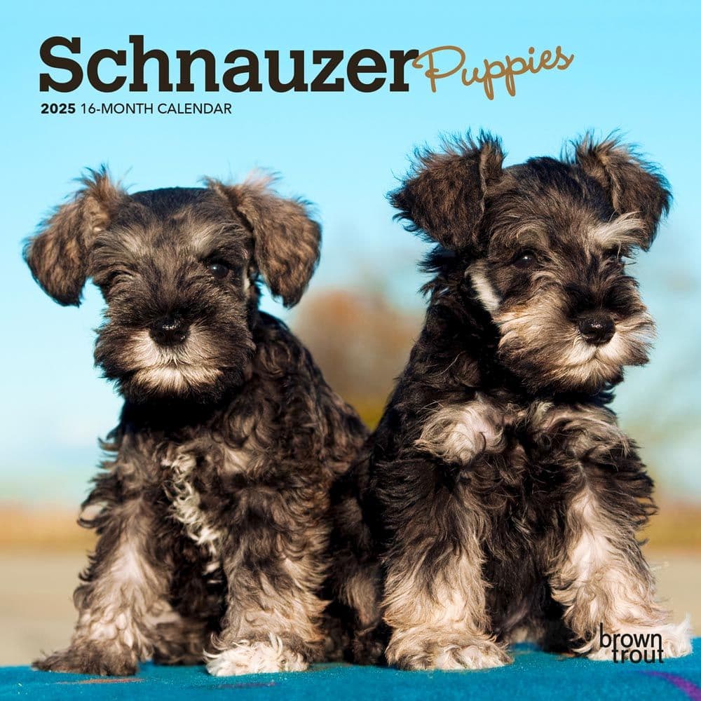 Schnauzer Puppies 2025 Mini Wall Calendar