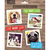 image Dog Ruff Life Magnet Set Main Image