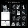 image Cat Portraits 2024 Wall Calendar Back Cover