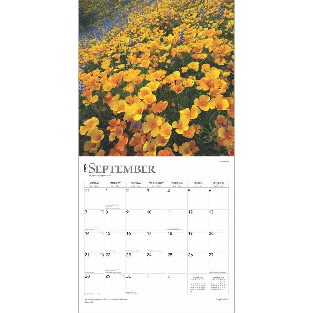 Inspiration 2025 Wall Calendar Third Alternate Image