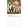 image Kittens And Puppies by Plato 2025 Wall Calendar