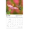 image Hummingbirds WWF 2026 Wall Calendar Third Alternate Image