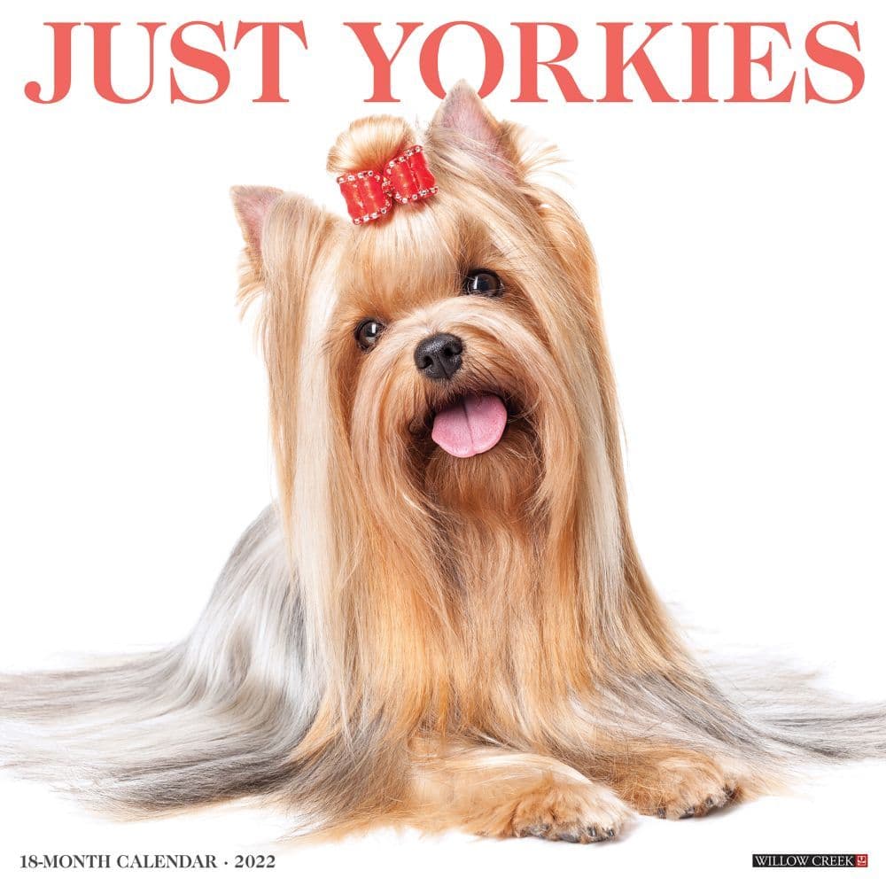 Yorkies 2022 Wall Calendar