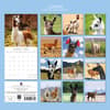 image Llamas 2026 Wall Calendar First Alternate Image