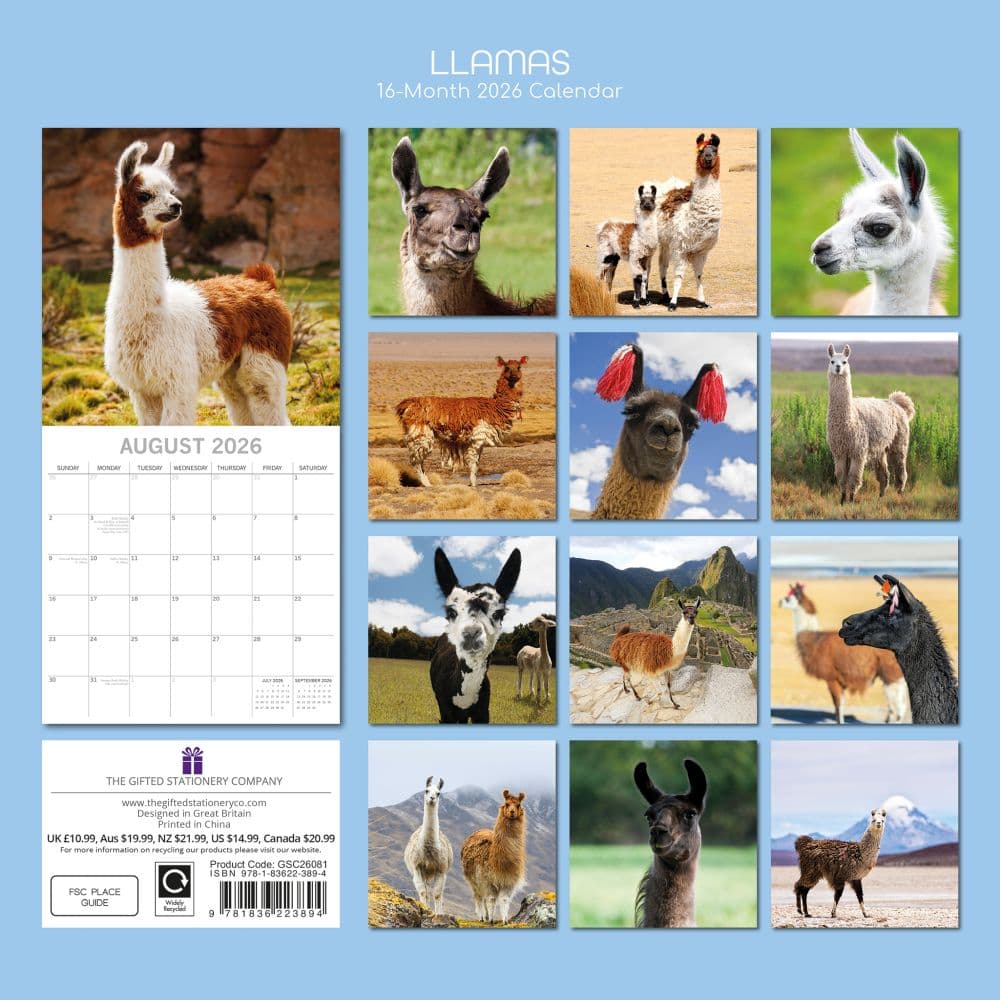 Llamas 2026 Wall Calendar First Alternate Image