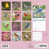 image Songbirds 2025 Wall Calendar First Alternate Image width=&quot;1000&quot; height=&quot;1000&quot;