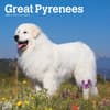 image Great Pyrenees 2025 Wall Calendar Main Product Image width=&quot;1000&quot; height=&quot;1000&quot;