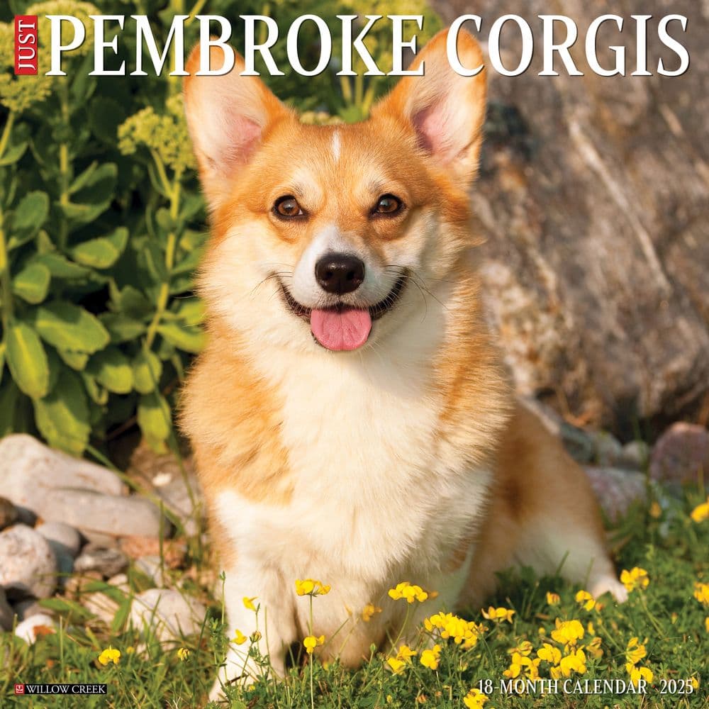 Just Pembrook Corgis 2025 Wall Calendar Main Product Image width=&quot;1000&quot; height=&quot;1000&quot;