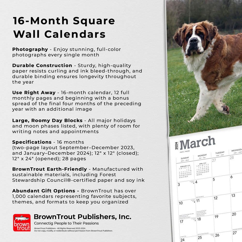 Saint Bernards 2024 Wall Calendar - Calendars.com